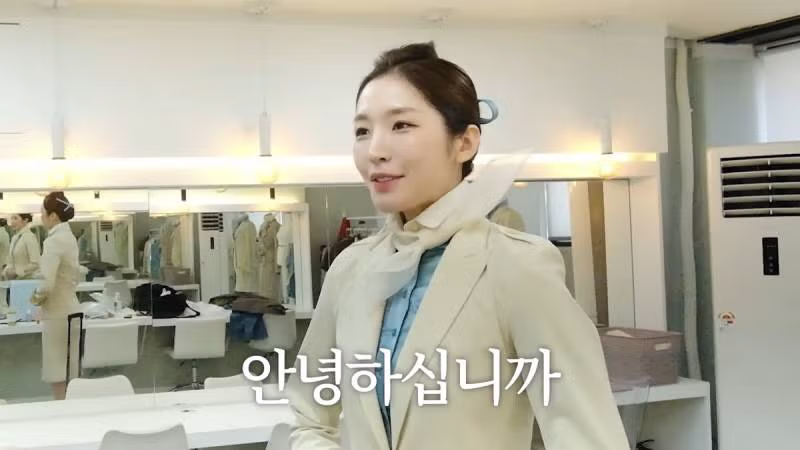 성해은 아시아나 vs 대한항공 - 밈카세