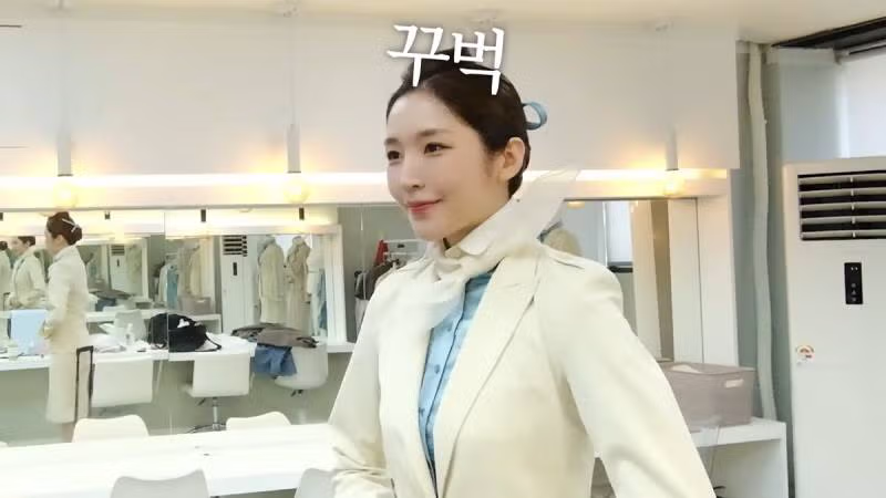 성해은 아시아나 vs 대한항공 - 밈카세