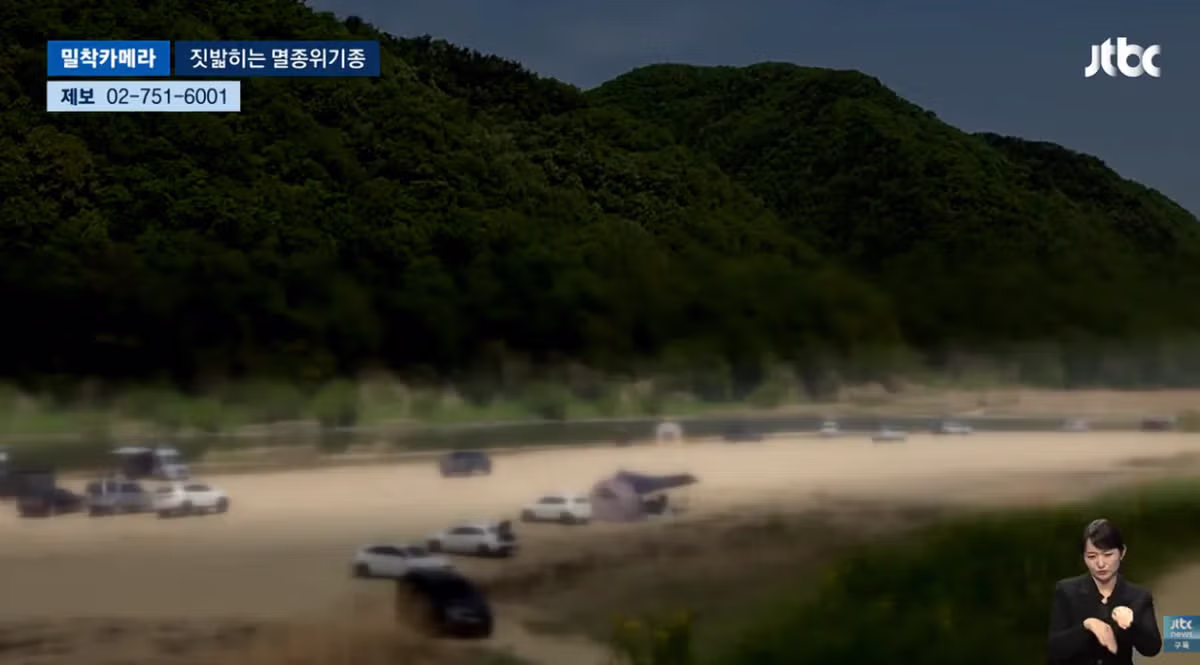 한국고유  멸종위기종을 죽이는 오프로드 동호회 - 밈카세