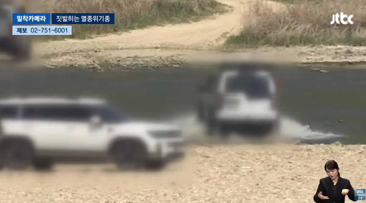 한국고유  멸종위기종을 죽이는 오프로드 동호회 - 밈카세