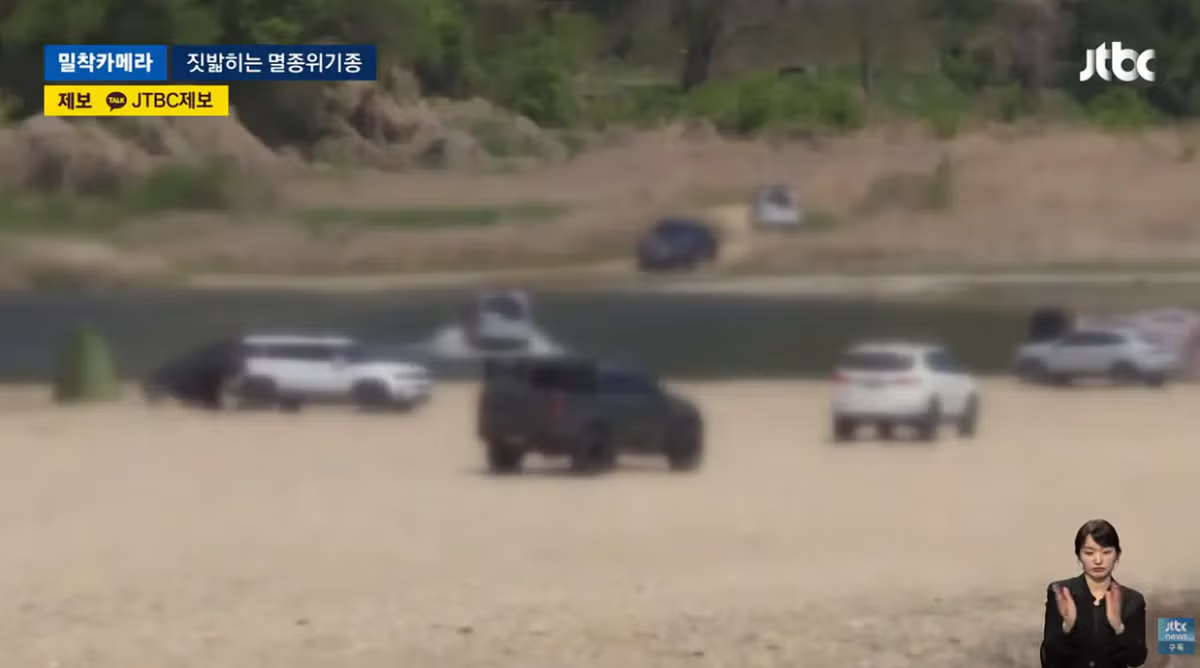 한국고유  멸종위기종을 죽이는 오프로드 동호회 - 밈카세