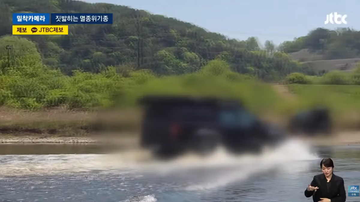 한국고유  멸종위기종을 죽이는 오프로드 동호회 - 밈카세