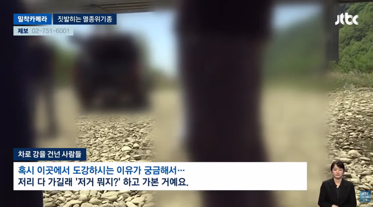 한국고유  멸종위기종을 죽이는 오프로드 동호회 - 밈카세