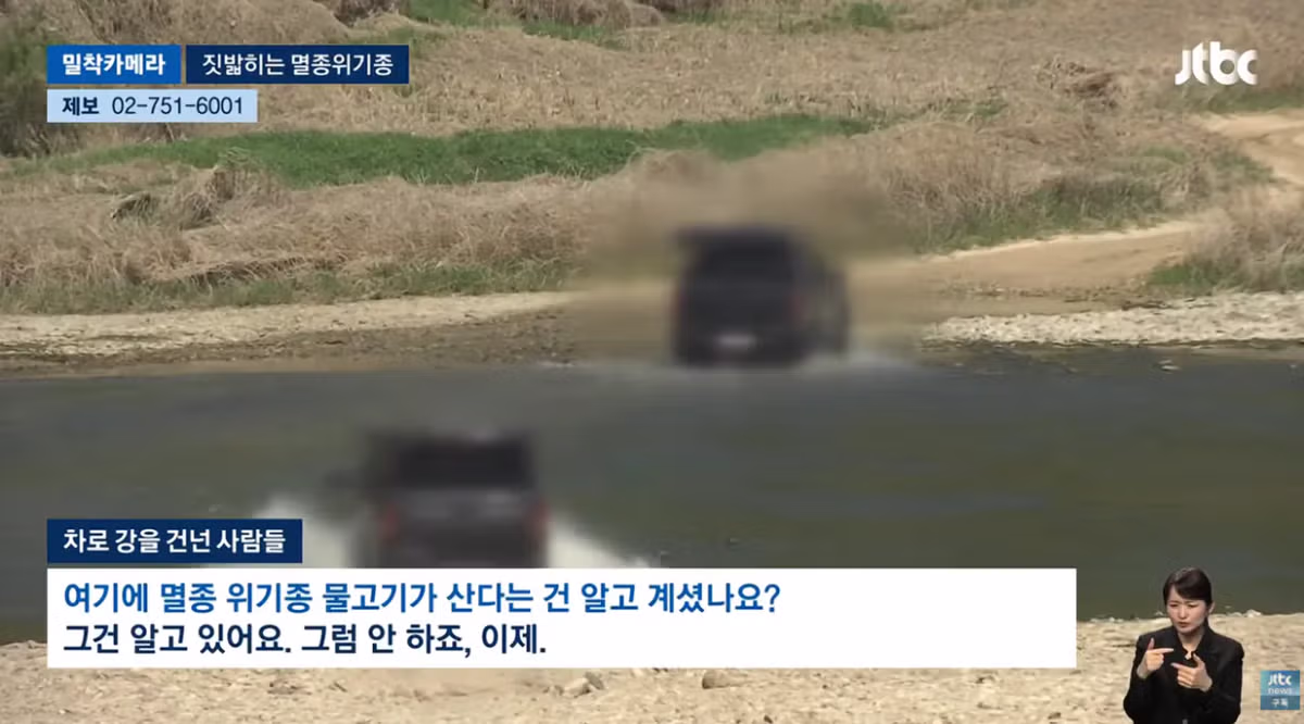 한국고유  멸종위기종을 죽이는 오프로드 동호회 - 밈카세