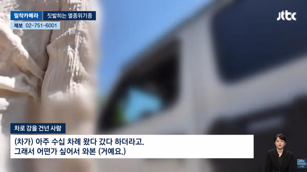 한국고유  멸종위기종을 죽이는 오프로드 동호회 - 밈카세