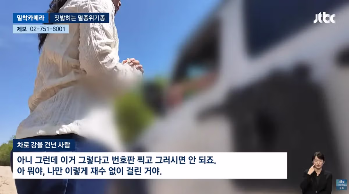 한국고유  멸종위기종을 죽이는 오프로드 동호회 - 밈카세