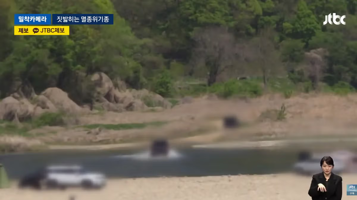 한국고유  멸종위기종을 죽이는 오프로드 동호회 - 밈카세
