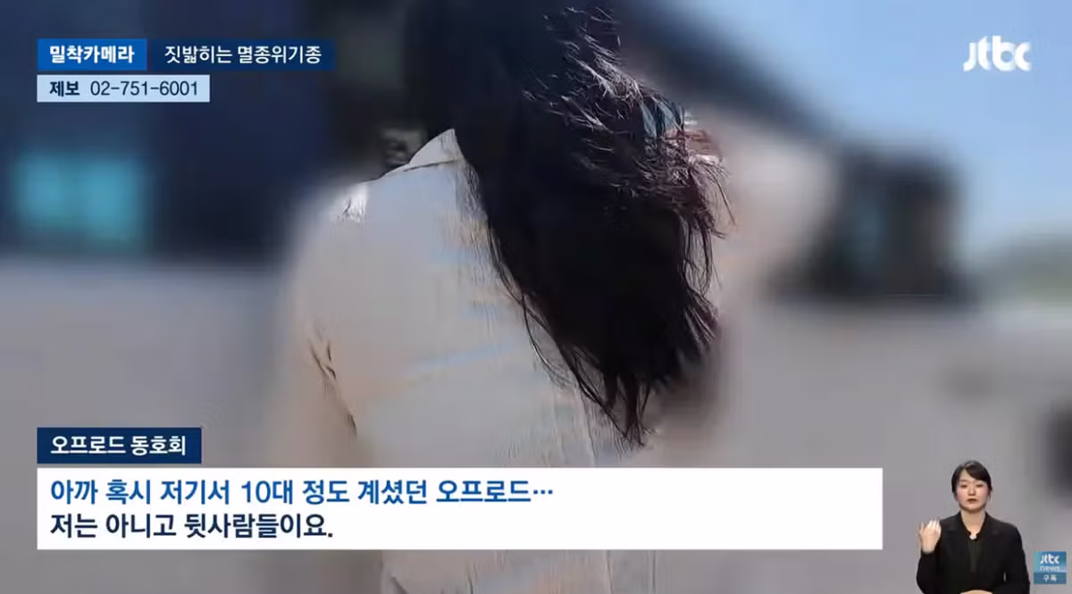 한국고유  멸종위기종을 죽이는 오프로드 동호회 - 밈카세