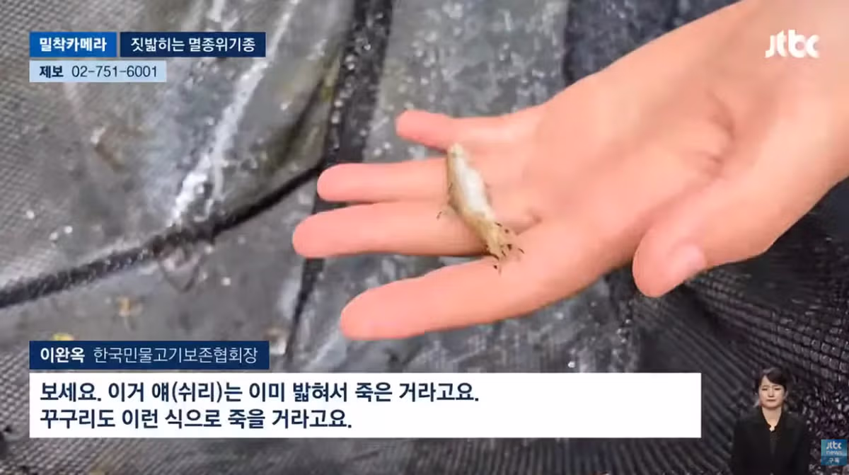 한국고유  멸종위기종을 죽이는 오프로드 동호회 - 밈카세