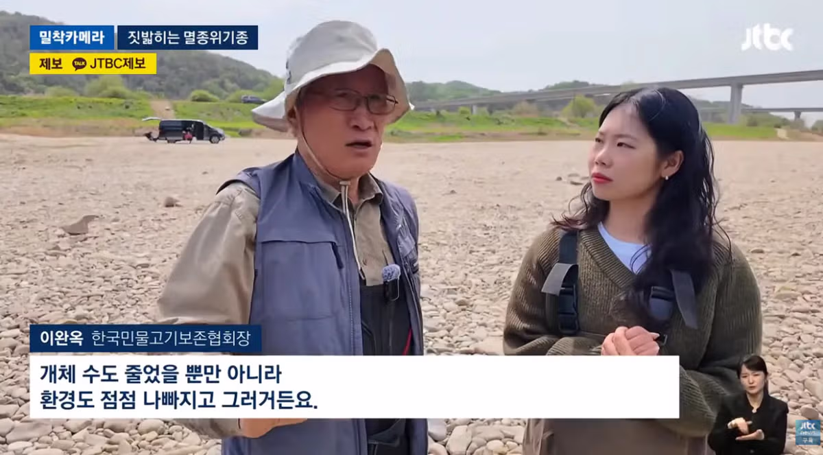 한국고유  멸종위기종을 죽이는 오프로드 동호회 - 밈카세