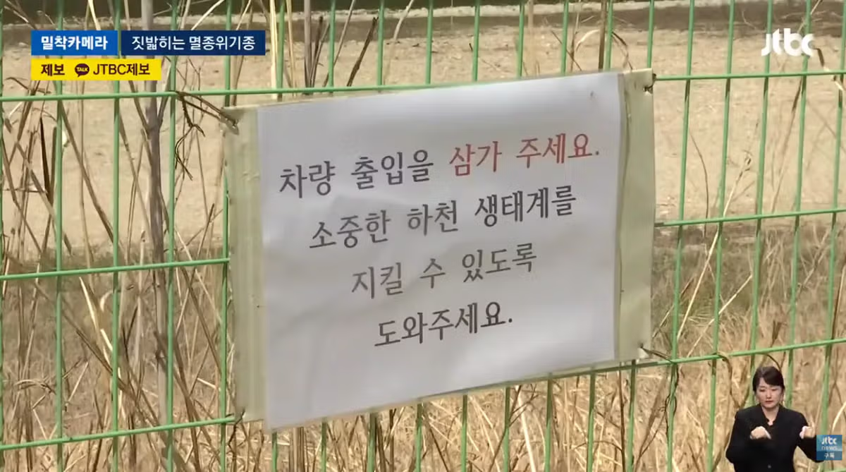 한국고유  멸종위기종을 죽이는 오프로드 동호회 - 밈카세