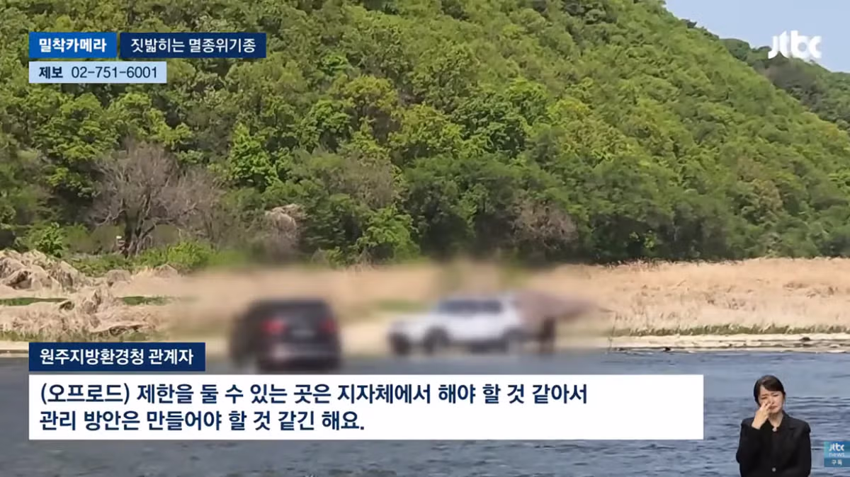 한국고유  멸종위기종을 죽이는 오프로드 동호회 - 밈카세