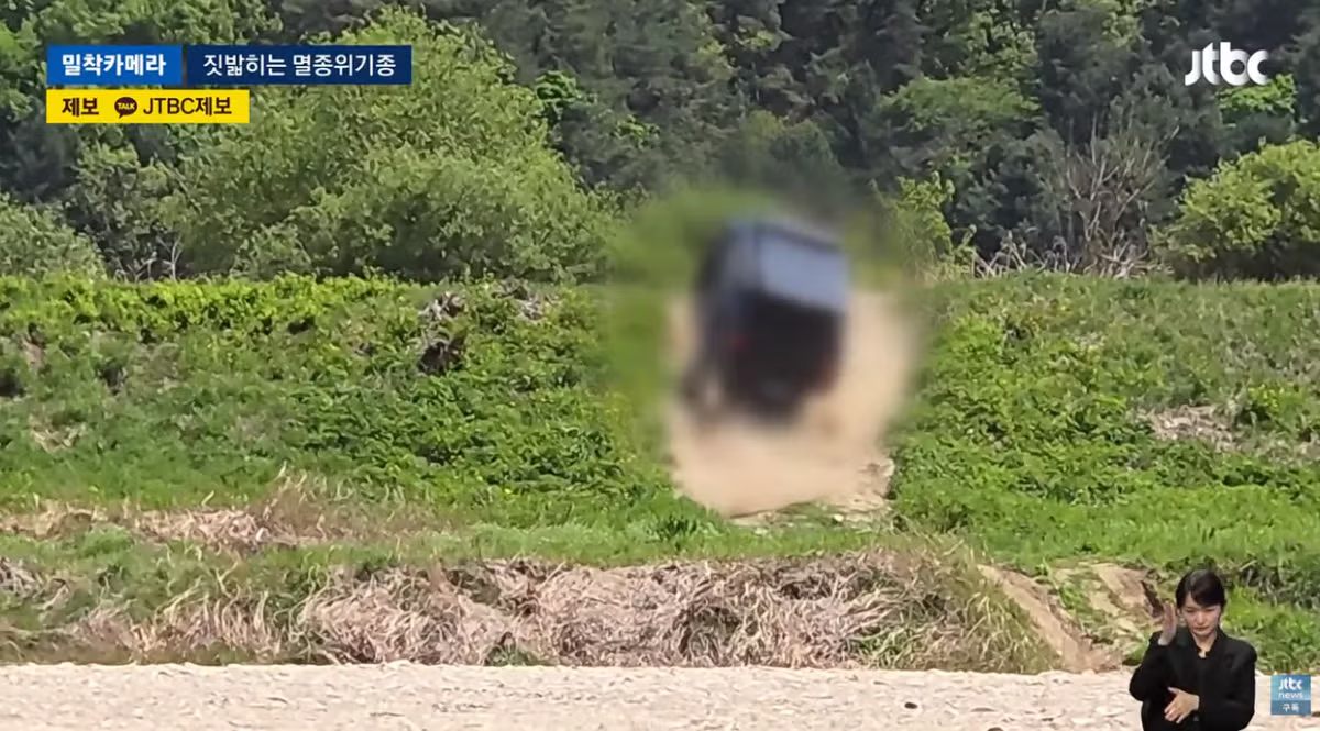 한국고유  멸종위기종을 죽이는 오프로드 동호회 - 밈카세