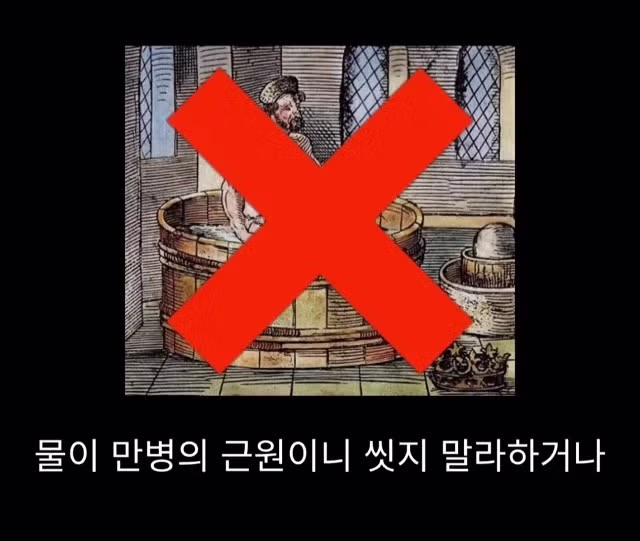 프랑스 남부에서 흑사병을 퇴치하여 왕실 의사가 된 사람 - 밈카세