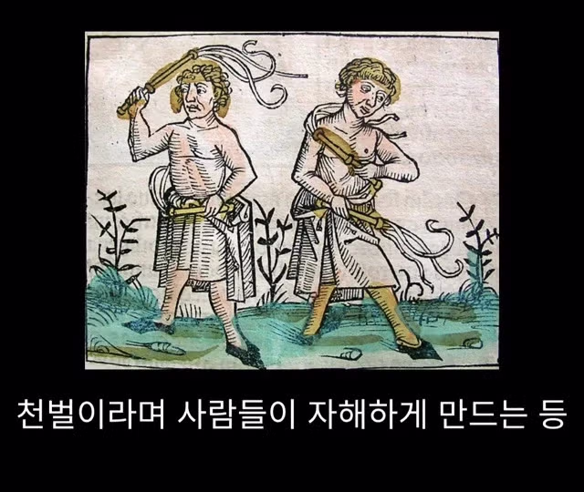 프랑스 남부에서 흑사병을 퇴치하여 왕실 의사가 된 사람 - 밈카세
