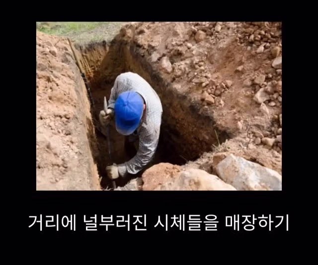 프랑스 남부에서 흑사병을 퇴치하여 왕실 의사가 된 사람 - 밈카세