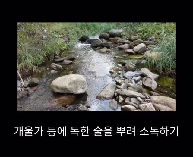 프랑스 남부에서 흑사병을 퇴치하여 왕실 의사가 된 사람 - 밈카세