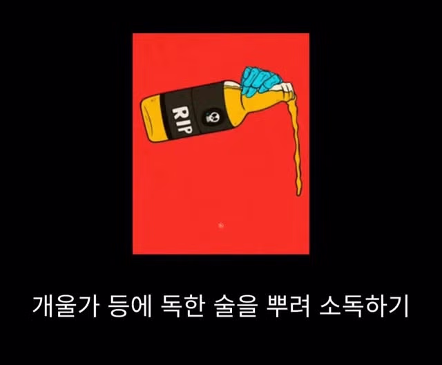 프랑스 남부에서 흑사병을 퇴치하여 왕실 의사가 된 사람 - 밈카세