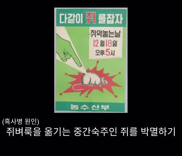 프랑스 남부에서 흑사병을 퇴치하여 왕실 의사가 된 사람 - 밈카세