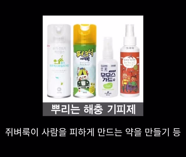 프랑스 남부에서 흑사병을 퇴치하여 왕실 의사가 된 사람 - 밈카세
