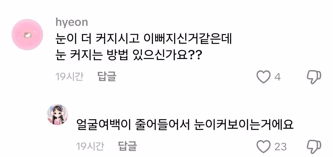 20kg 차이를 얼굴사진으로 보여주는 여자 - 밈카세