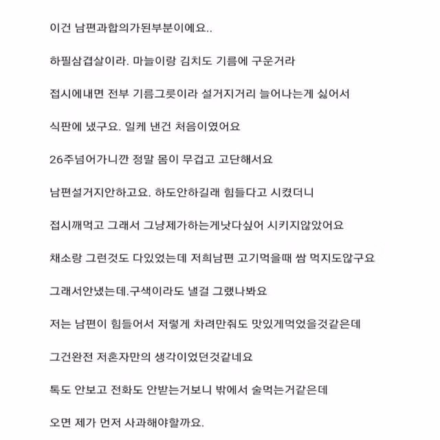 임신 6개월차 아내가 차린 남편 식사38 - 밈카세