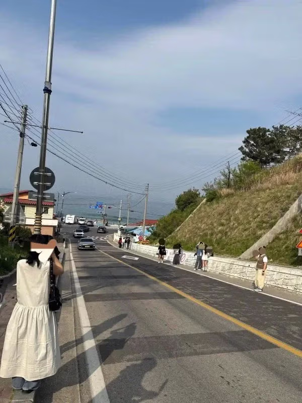 현재 난리났다는 동해 어디삼거리 근황 - 밈카세