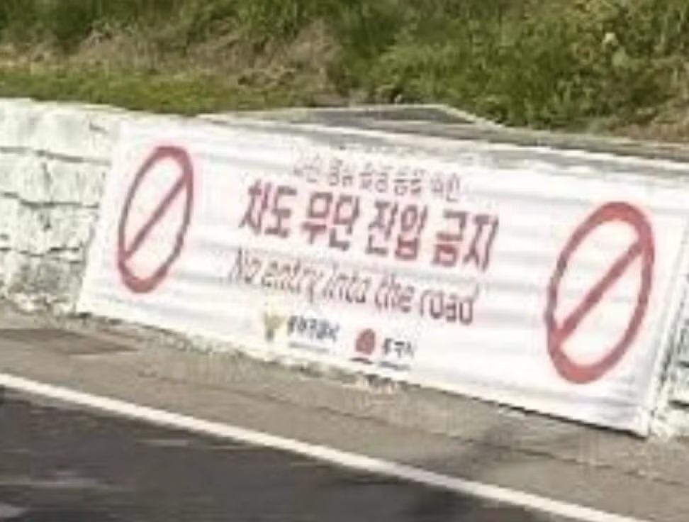 현재 난리났다는 동해 어디삼거리 근황 - 밈카세