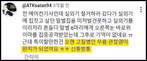 말벌에 쏘인 후기 2