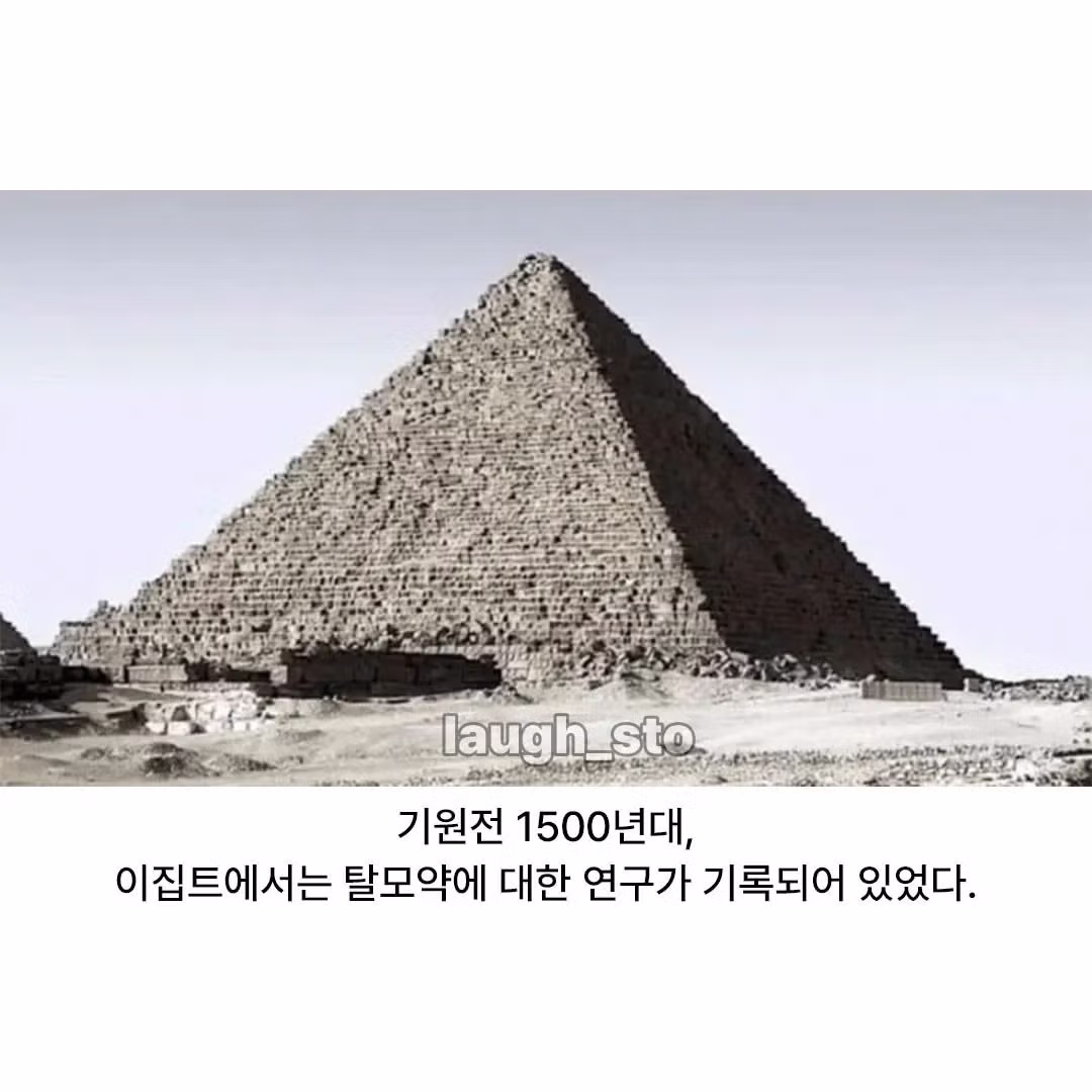 인류가 3500년 동안 정복하지 못한것 - 밈카세