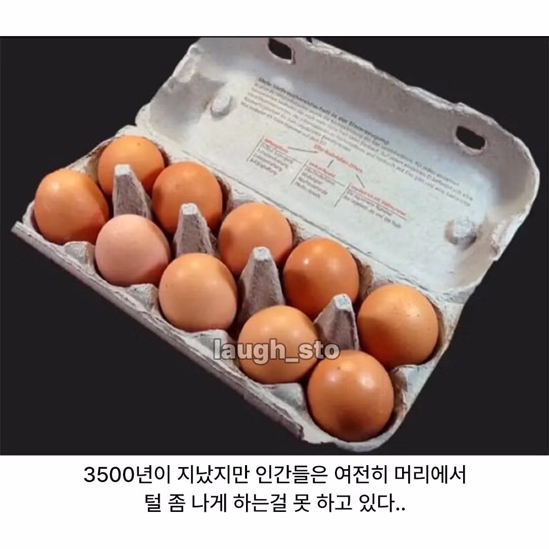 인류가 3500년 동안 정복하지 못한것 - 밈카세