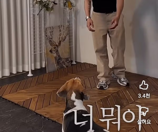 구리랑 리마인드 촬영하는 이창섭 실존.jpg - 밈카세