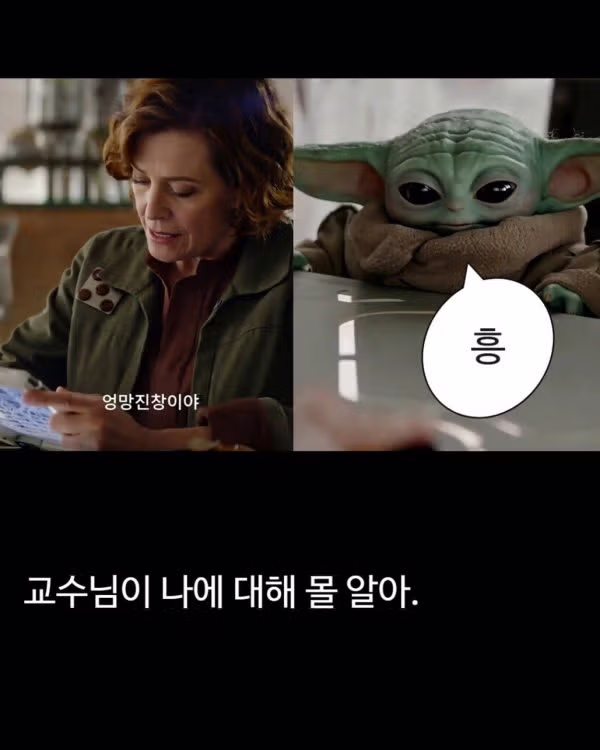 만달로리안과 그로구 컴백 기념 그로구 짤모음집 - 밈카세