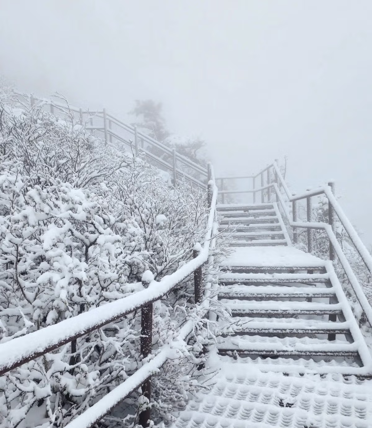 실시간 설악산 - 밈카세