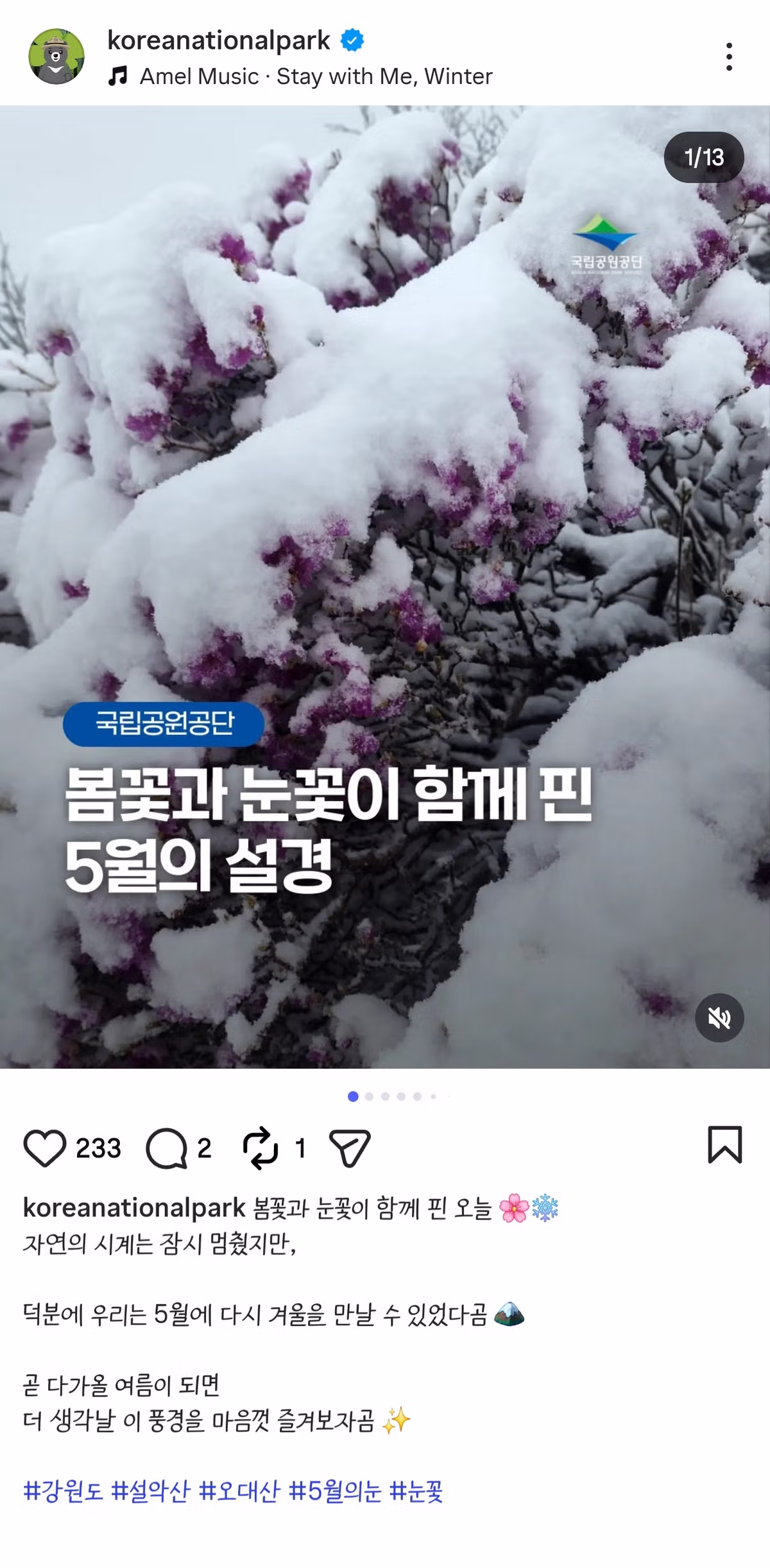 실시간 설악산 - 밈카세