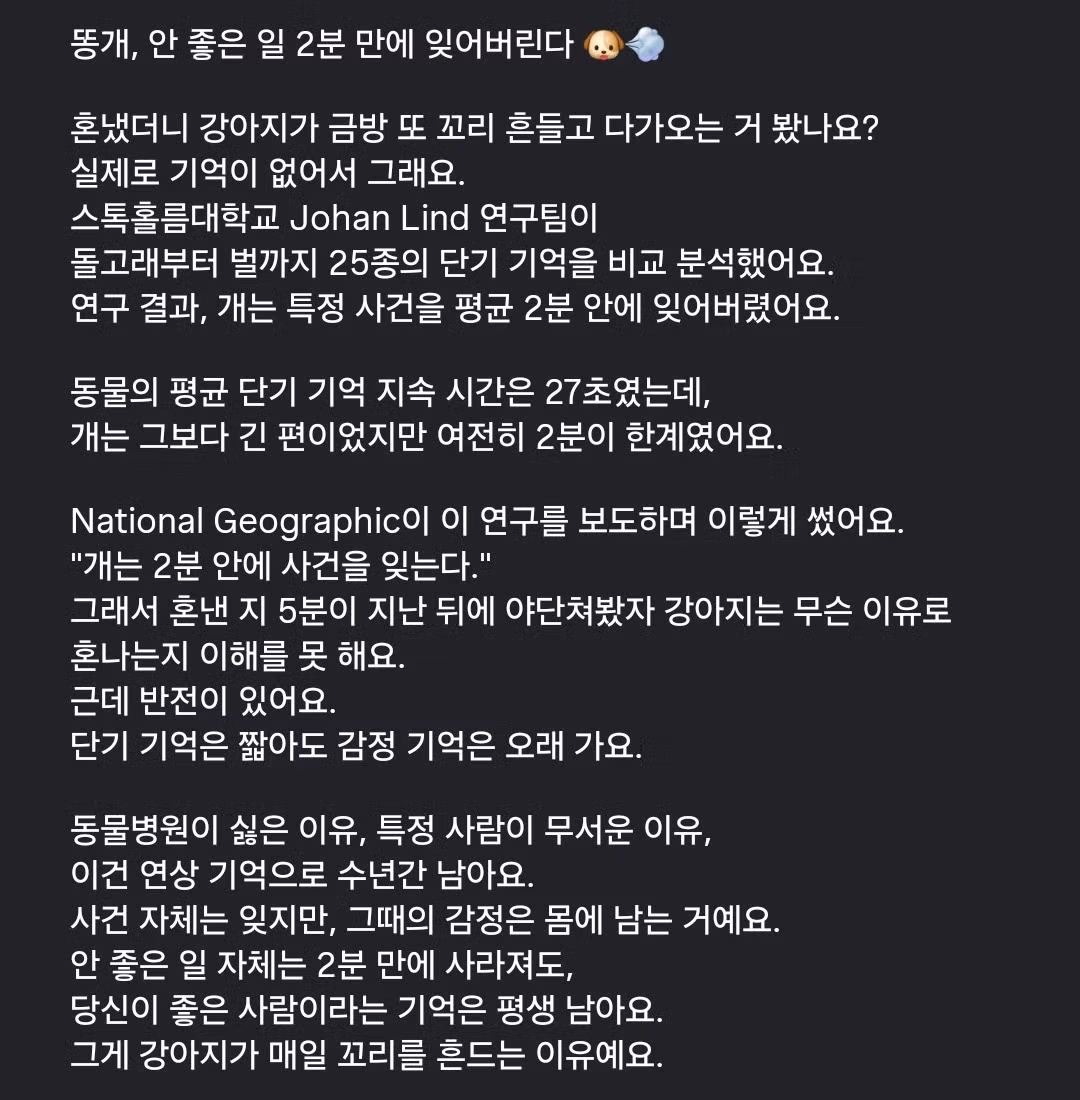 똥개, 안 좋은 일 2분만에 잊어버린다 - 밈카세