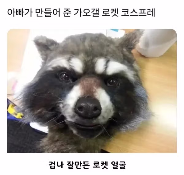 아빠가 만들어준 가오갤 로켓 코스튬 - 밈카세