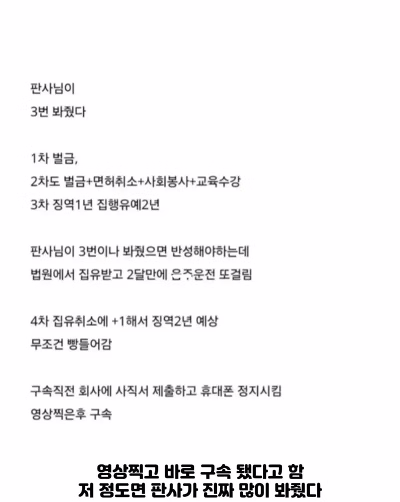 착하게살아서 감옥갈줄은 몰랐다는 음주운전 4번째 걸린남성 - 밈카세