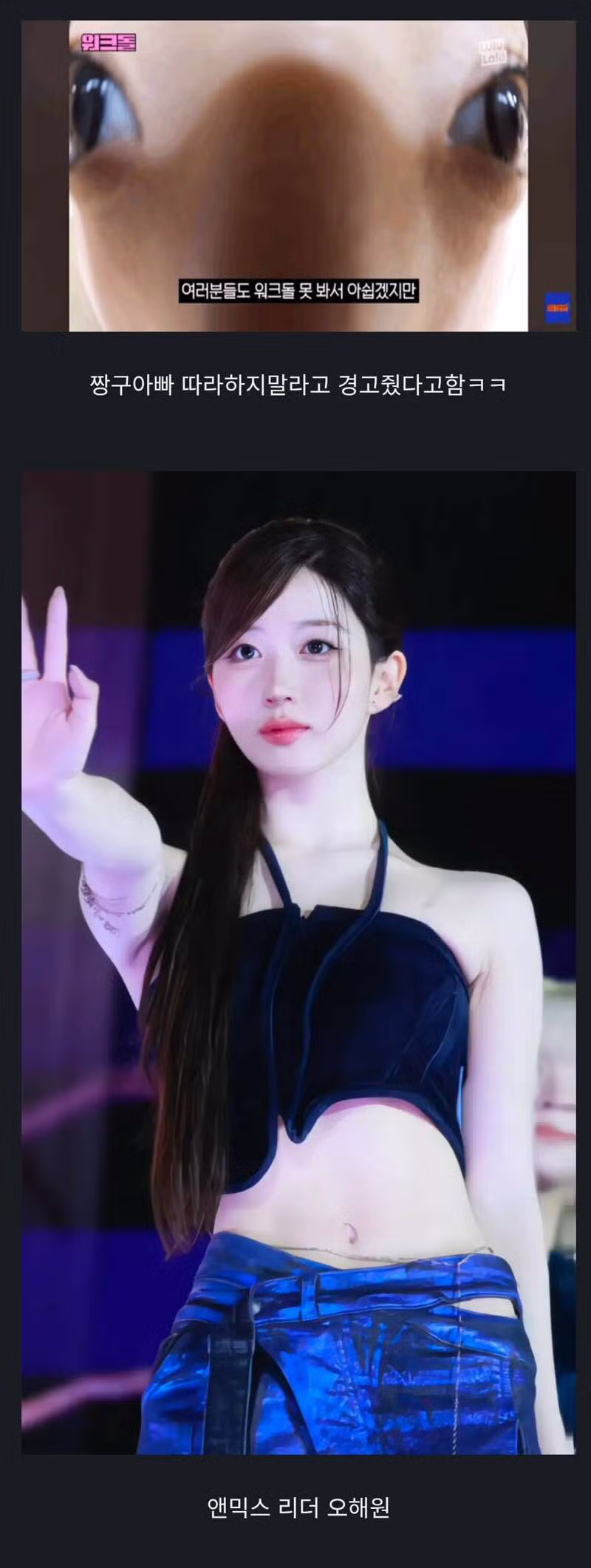 소속사에서 경고먹은 아이도루 처자. 2