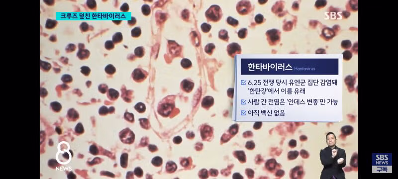한타 바이러스 퍼진 크루즈선 근황 - 클리앙 인기글 이미지 5 - 밈카세