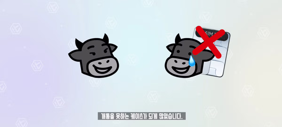 한국 eSIM이 유독 쓰레기 같은 이유 - 개드립 인기글 이미지 8 - 밈카세