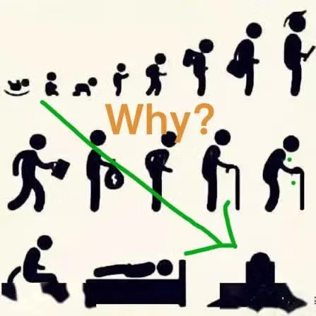 외국에서 유행했던 why 밈 ㅋㅋㅋㅋㅋ - 뽐뿌 인기글 이미지 3 - 밈카세