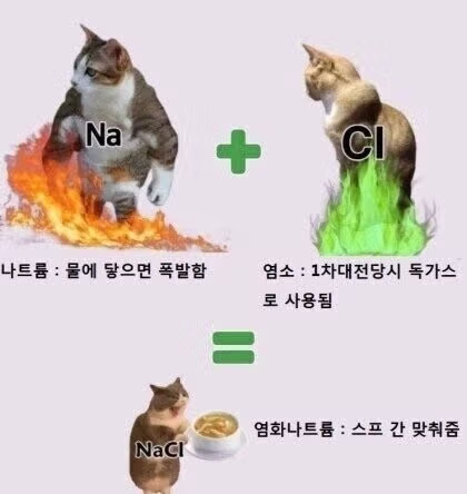 불의 마왕과 독가스의 여왕 사이에서 태어난 아이.jpg 2