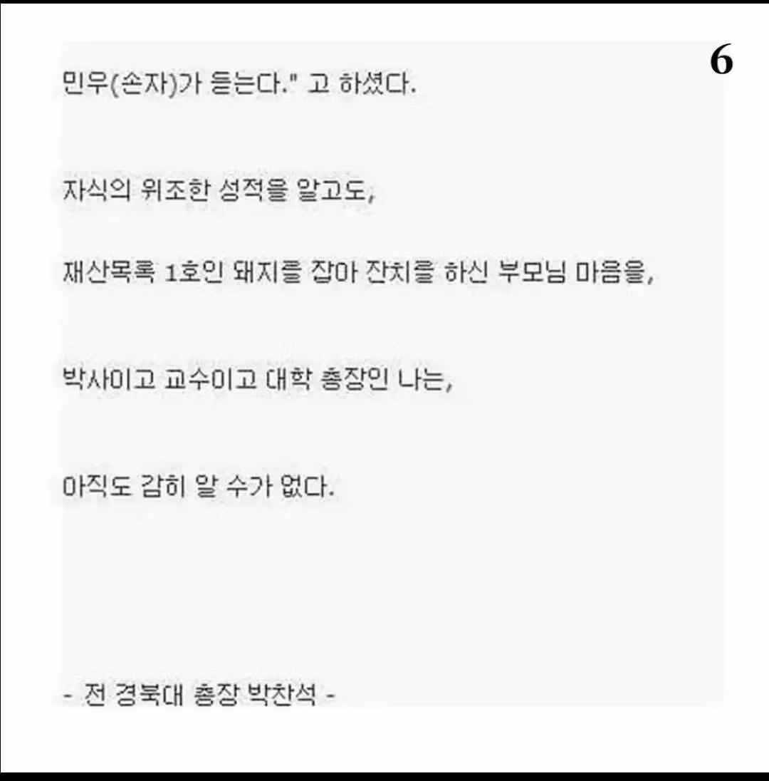 전교 꼴찌였지만 아버지는 돼지를 잡으신 사연 - 인벤 인기글 이미지 6 - 밈카세