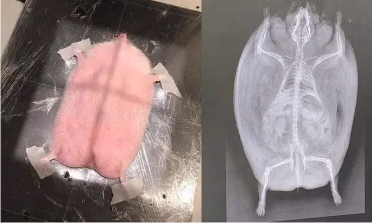 카리나가 좋아요를 누른 인스타그램 게시물 - 뽐뿌 인기글 이미지 2 - 밈카세