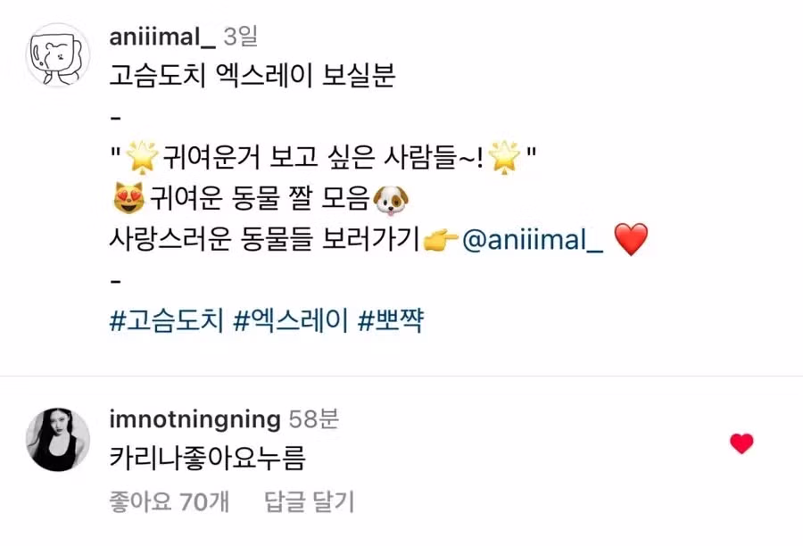 카리나가 좋아요를 누른 인스타그램 게시물 - 뽐뿌 인기글 이미지 3 - 밈카세