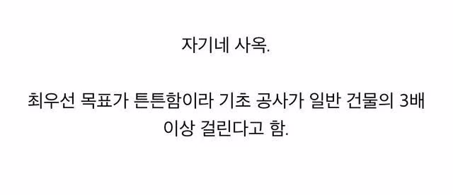 순살 건물처럼 튼튼하고 안전한 건축물 - 뽐뿌 인기글 이미지 4 - 밈카세