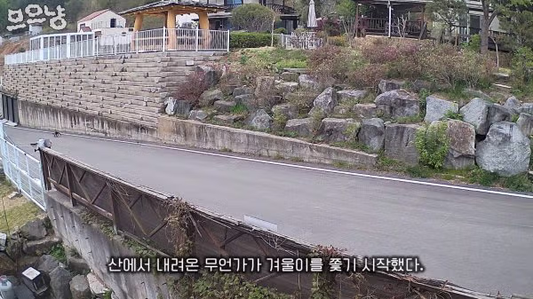 대참사난 고양이 유튜버 - FM코리아 인기글 이미지 3 - 밈카세