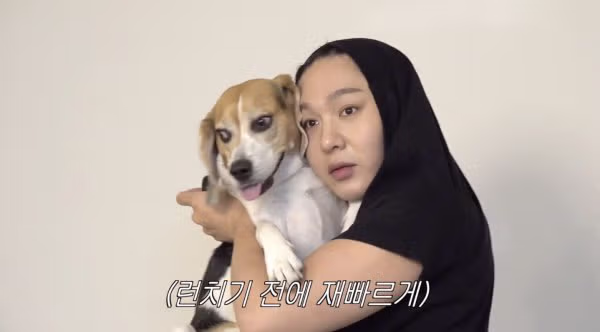 난이도 최상급이라는 비글과 사진 찍기 도전 - 뽐뿌 인기글 이미지 8 - 밈카세