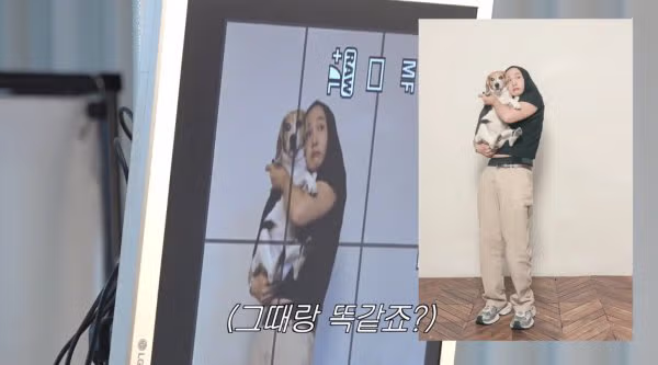난이도 최상급이라는 비글과 사진 찍기 도전 - 뽐뿌 인기글 이미지 9 - 밈카세